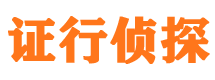 桥东市调查公司